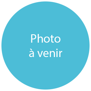 Photo à venir